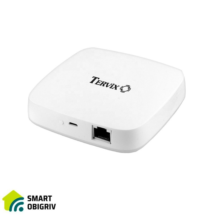 401111 Ведущий Ethernet контроллер Tervix ZigBee Wired Gateway - SMARTOBIGRIV  