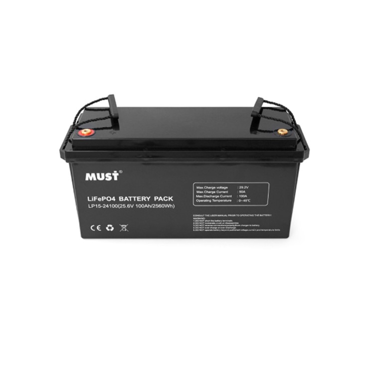 Акумуляторна батарея Must LiFePO4 LP15-24100 25,6V 100Ah - SMARTOBIGRIV 02