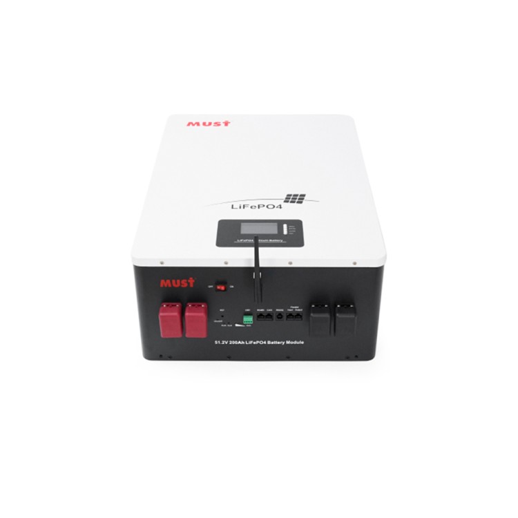 Акумуляторна батарея Must LiFePO4 LP16-48200 51.2V 200Ah - SMARTOBIGRIV 03