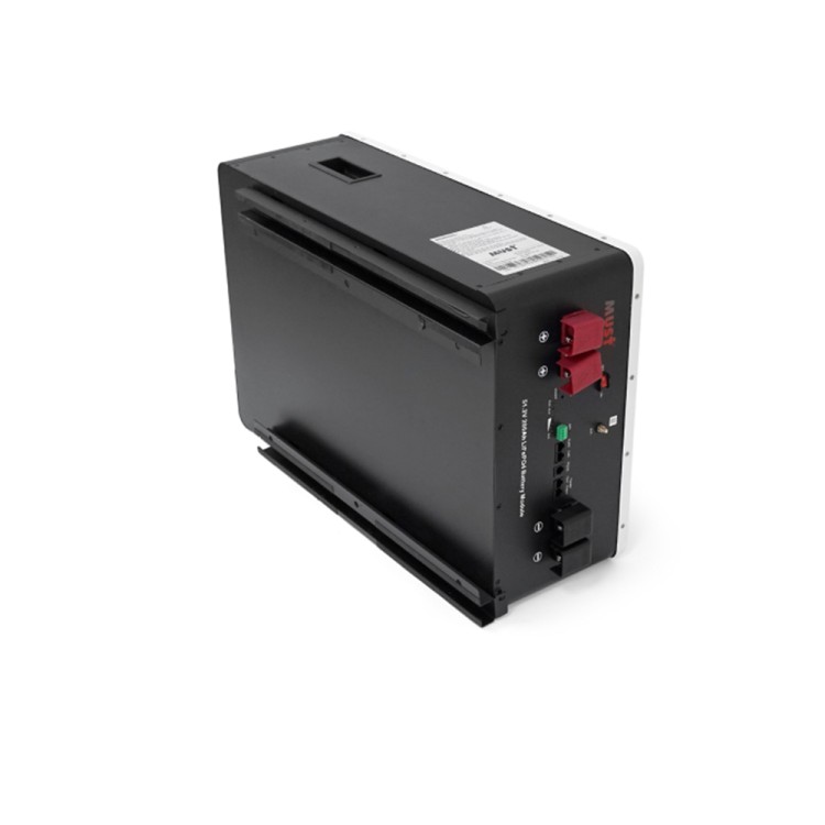 Акумуляторна батарея Must LiFePO4 LP16-48200 51.2V 200Ah - SMARTOBIGRIV 04