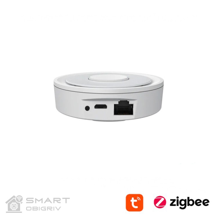 Координатор сети Adaptor AGL-ZB (Tuya/ZigBee) - SMARTOBIGRIV 02