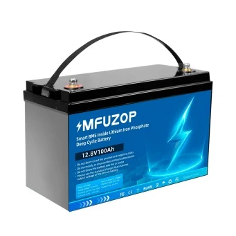 MFUZOP  LiFePO4 12100